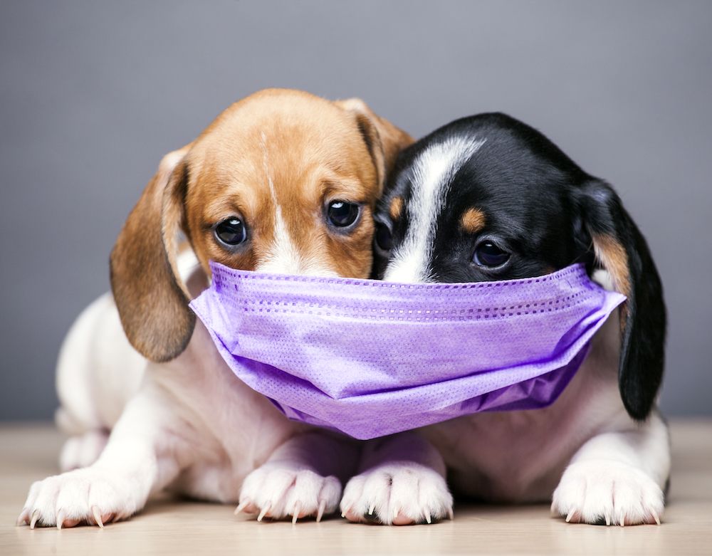 When Did We Stop Caring About One Another?